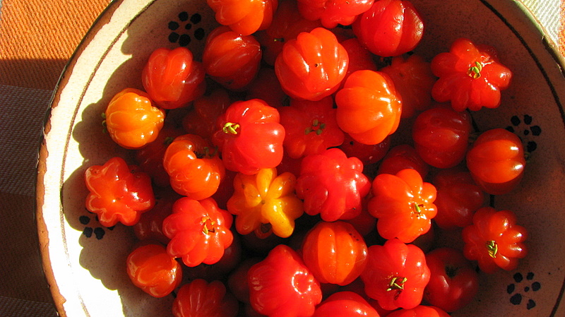 a bowl filled with some fresh red tomatoes