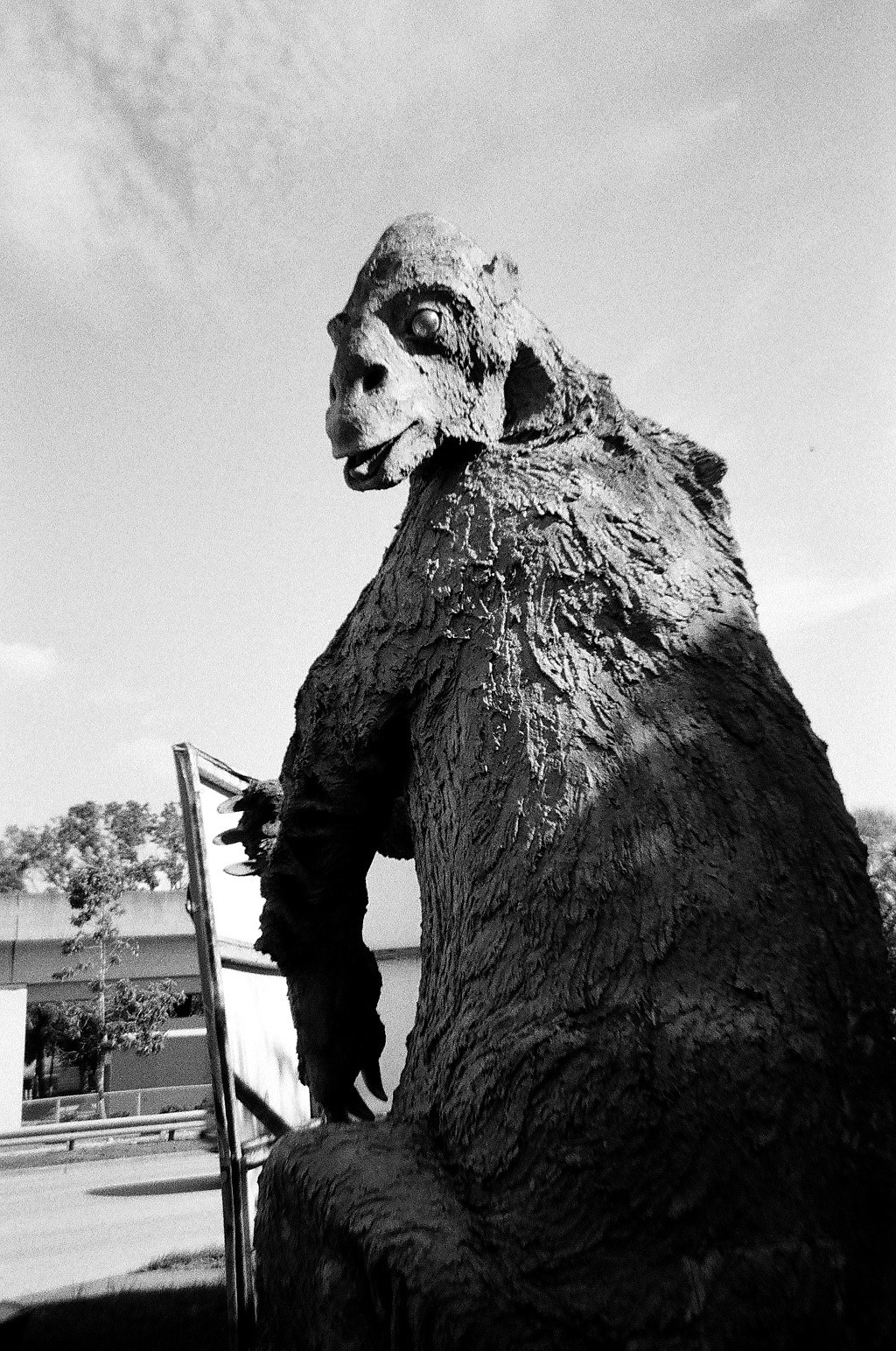 a person standing next to a huge bear statue