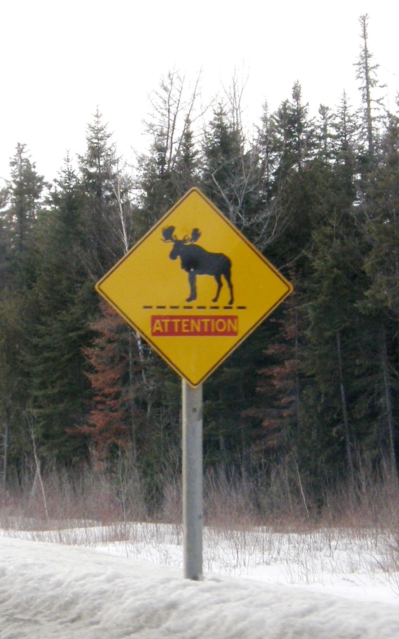 a sign is shown in front of some trees