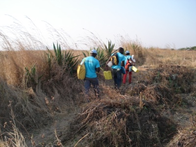 people walking away from some plants and other objects