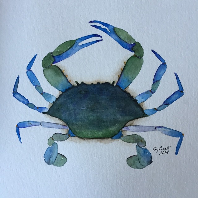 a blue crab sits on a white background