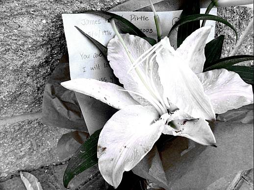 black and white pograph of flowers next to a stone wall