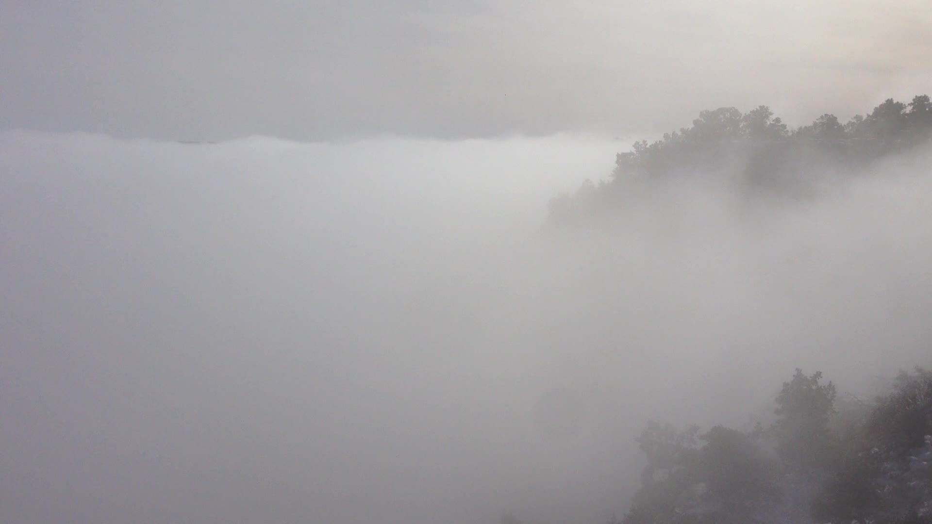 a hill top with trees covered in fog