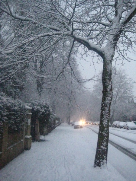a street and road during the winter season