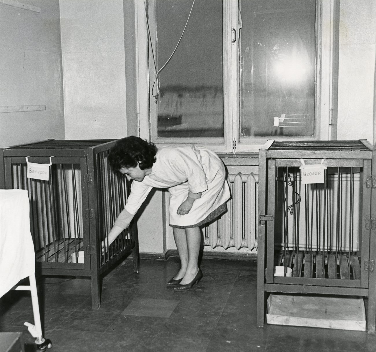 a woman picking out the furniture in her baby crib