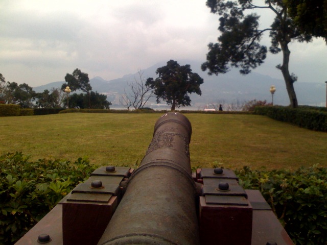 a view of a large cannon from behind a tree