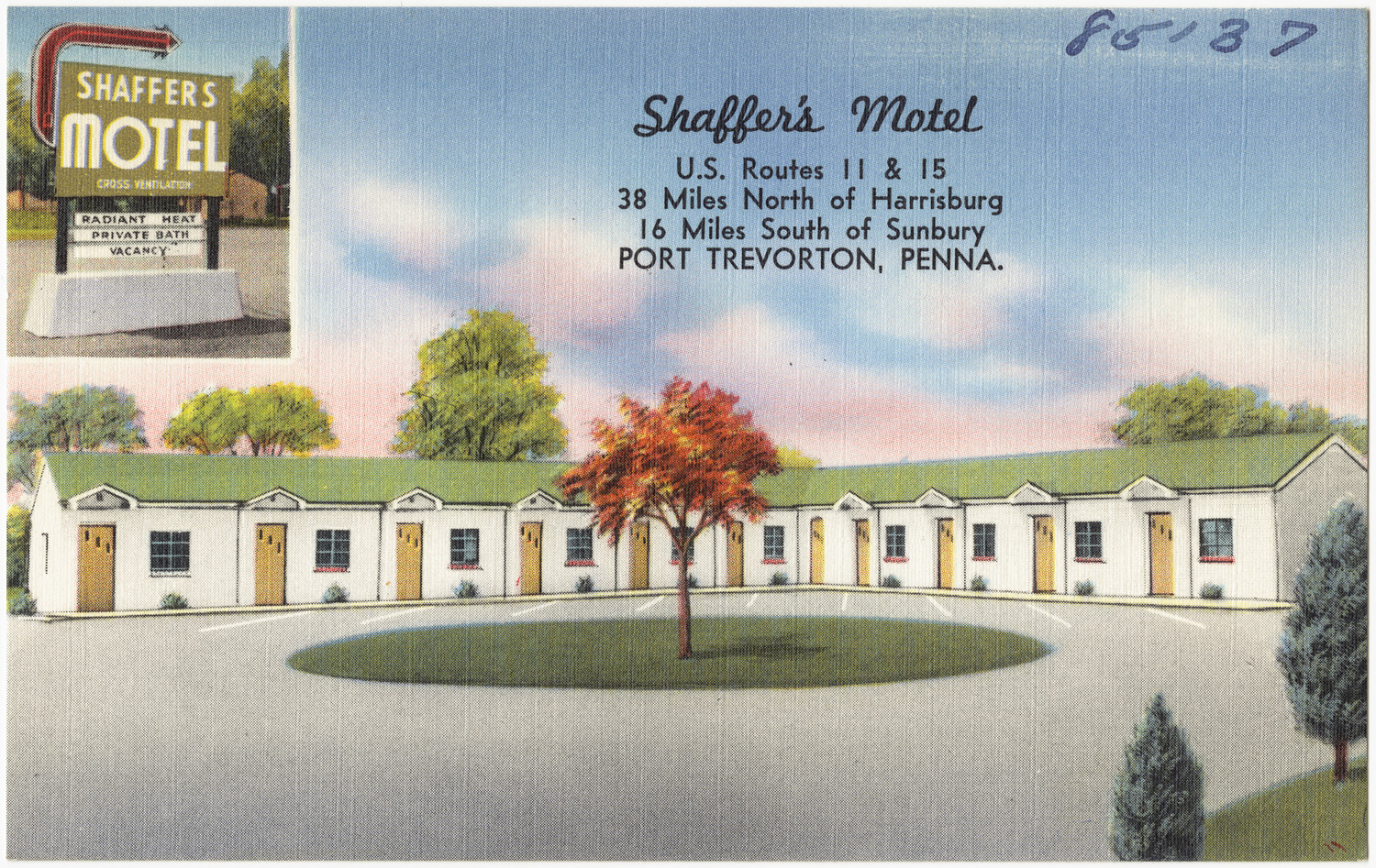 a drawing showing the rear of a motel, with a large green tree in front of the el