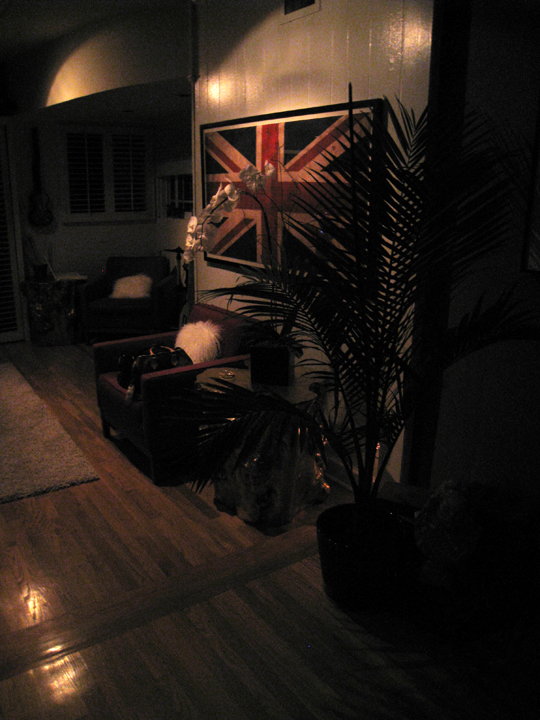 a living room with wood flooring and some plants