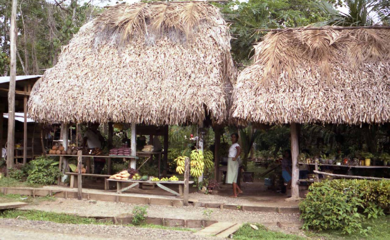 a man stands in front of two huts made out of straw