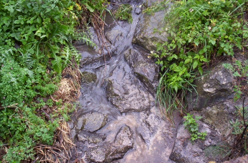 a stream in a mountain valley near rocks