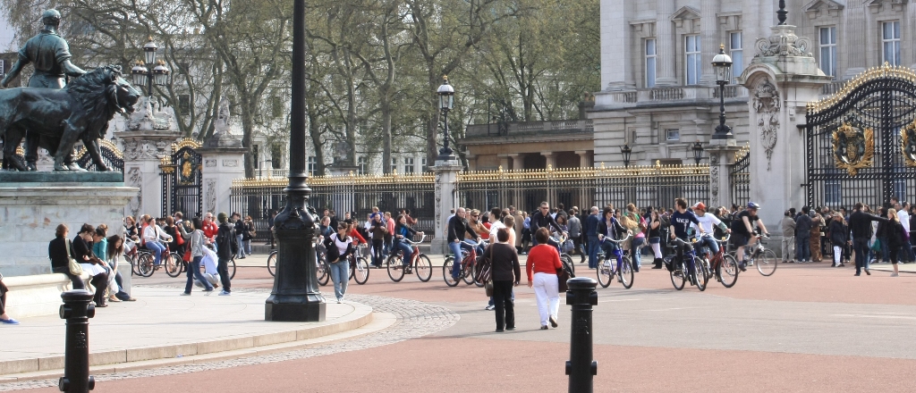 a large crowd is riding their bikes in the street