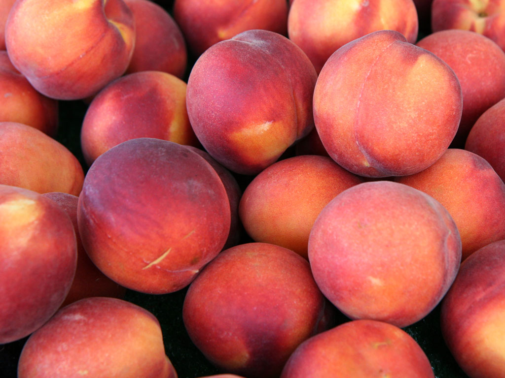 a bunch of peaches sit together on a plate