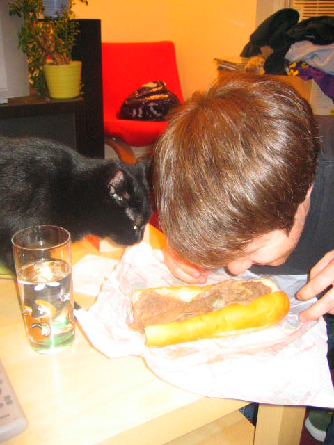 a man with a cat is eating a bagel