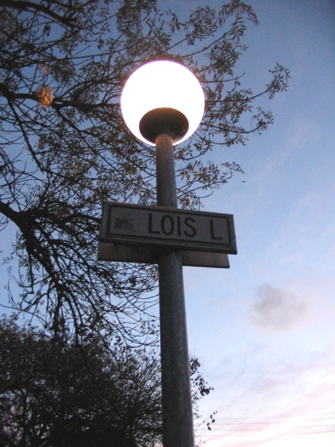 a street lamp with a sign for a city in the background