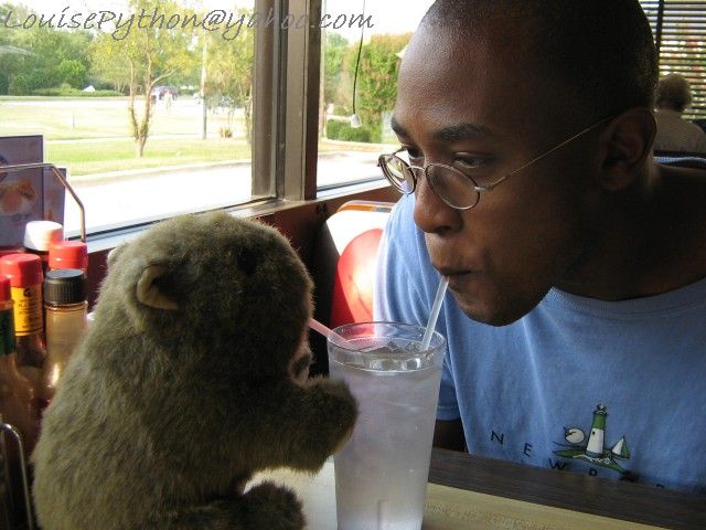 a man with glasses drinking from a bottle in front of a teddy bear