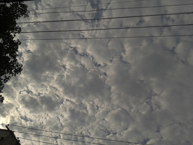 an upward view of clouds and power lines