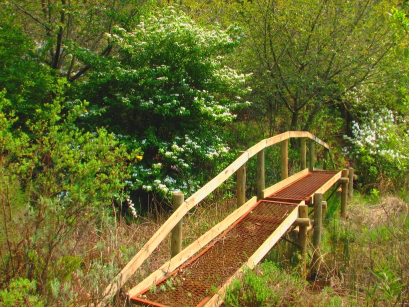 a walkway bridge made of wood and brown wood slats