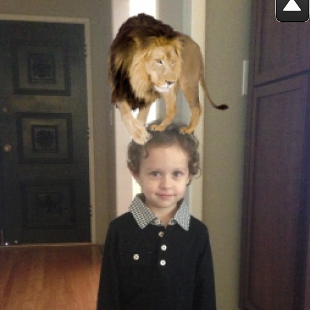 a  standing under a cardboard lion on top of his head