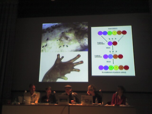 four people at a meeting on what appears to be a hand, and an image of a person that has its fingers extended
