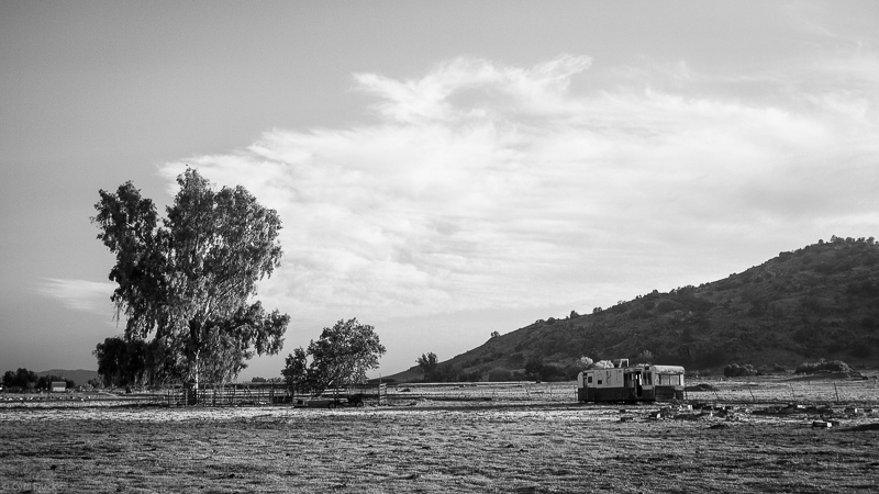 a farm truck driving down a road next to a tree