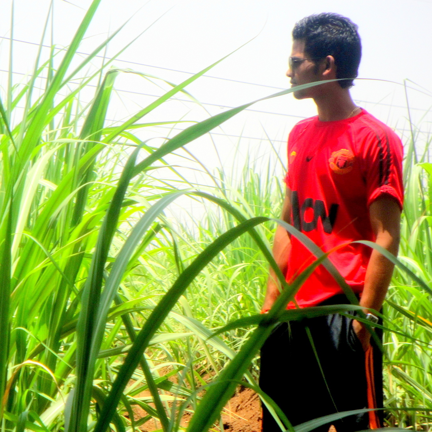 a young man standing among tall grass on the side of the road