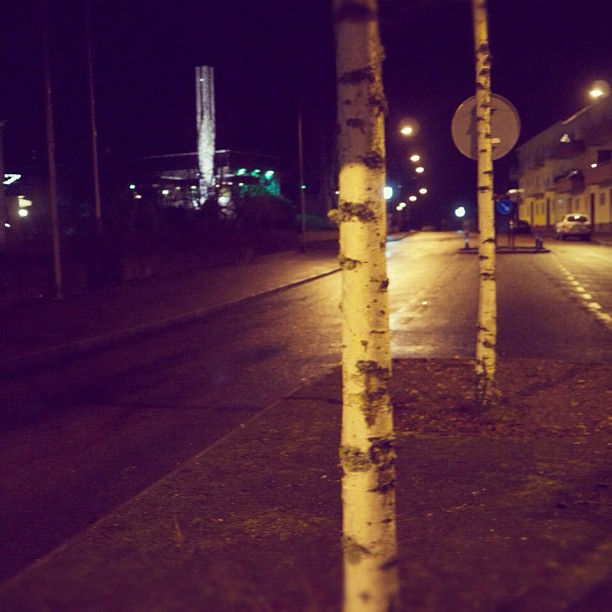 two trees stand next to each other on a road at night