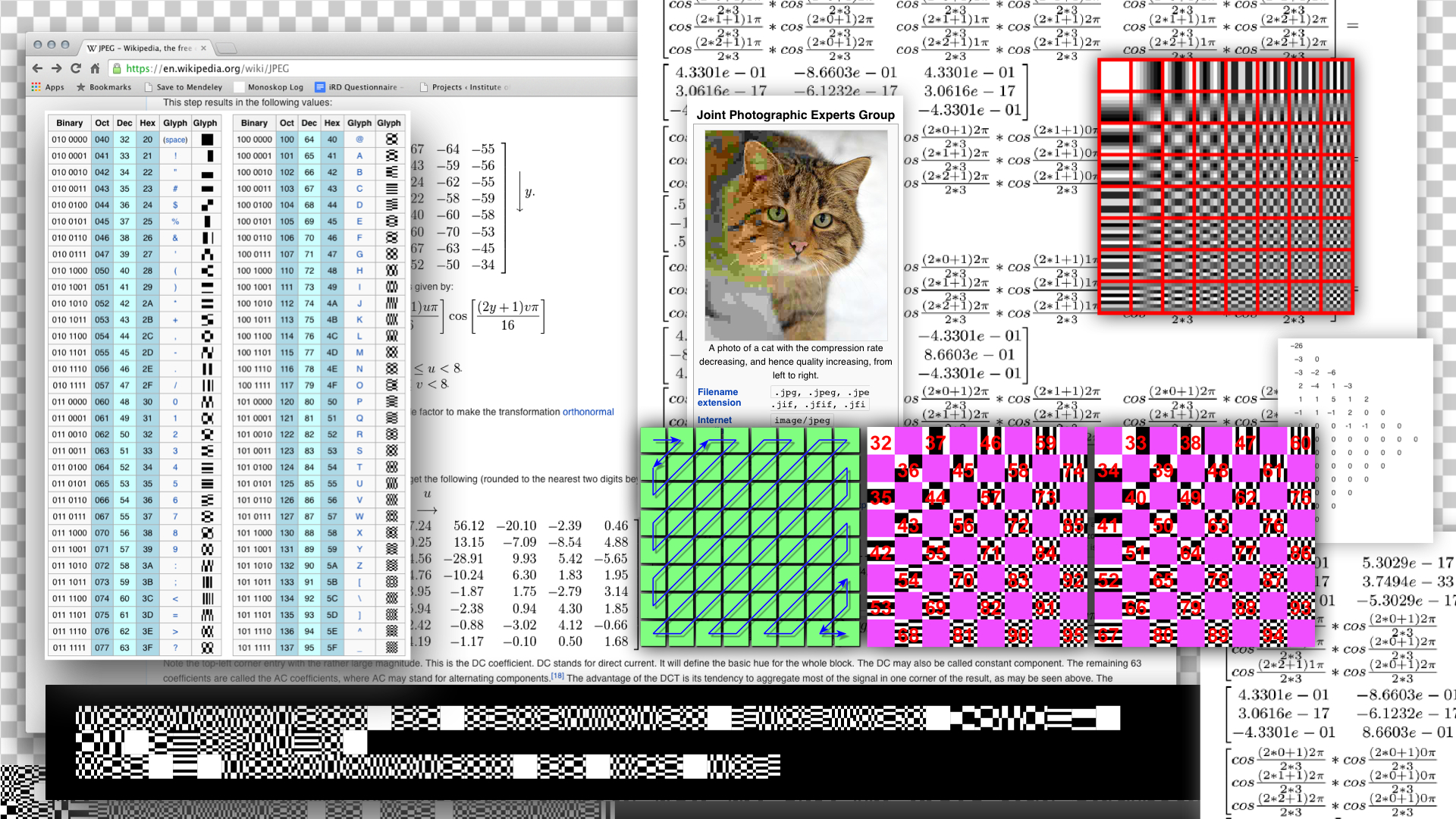 computer program with gridded lines and different cat type