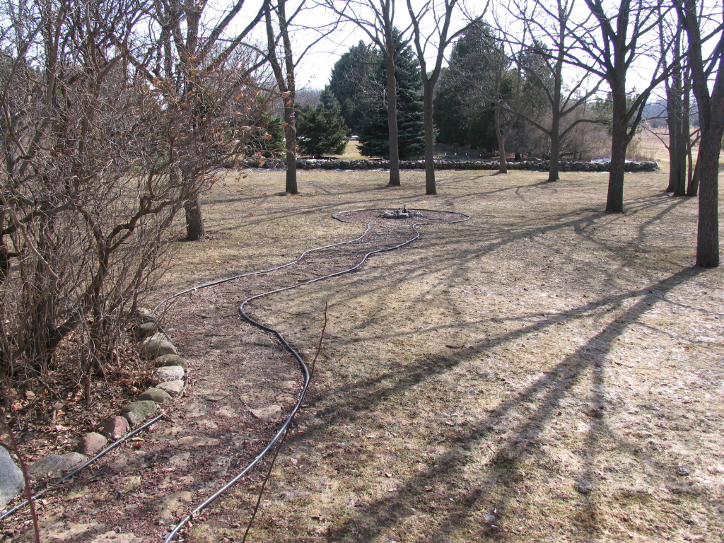 a field with trees and a rock fence