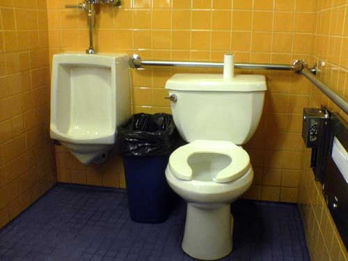 a white toilet sitting next to a trash can