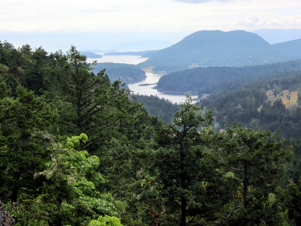 view from a forested area of a lake in the distance