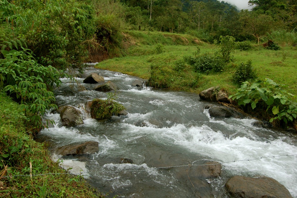 the small river flows near the lush green hillside
