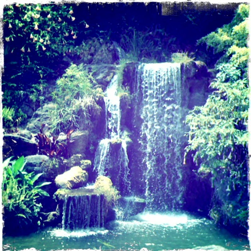 a large waterfall cascades down a small stream