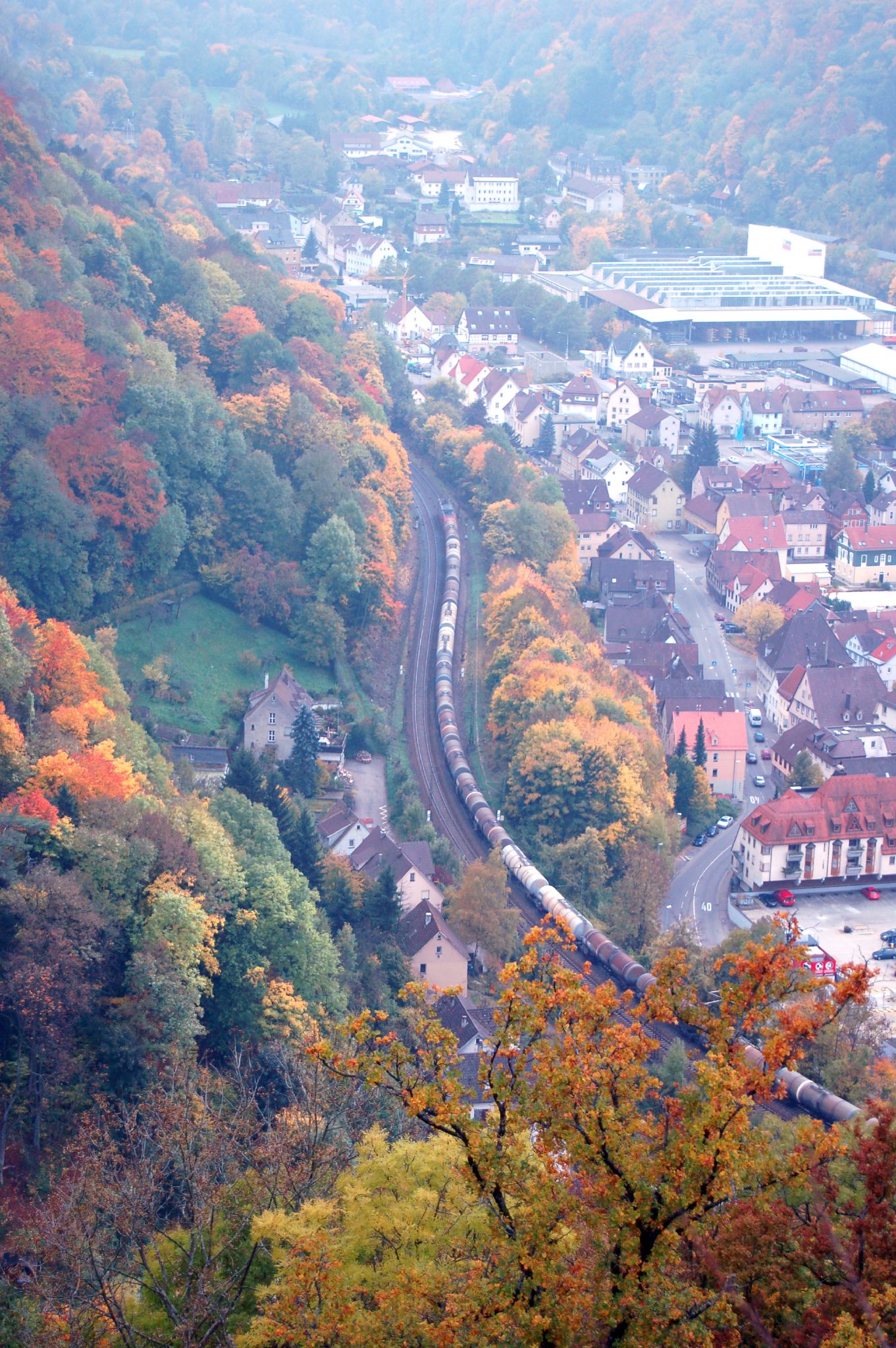 the town is nestled between a forest and mountains