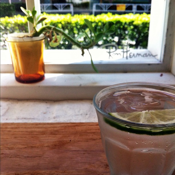 a glass with a liquid and a half - eaten slice of lemon