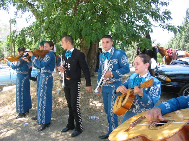 musicians are playing instruments under a tree during a music festival