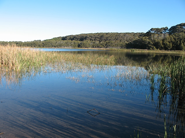 an empty lake that is surrounded by green and brown grass