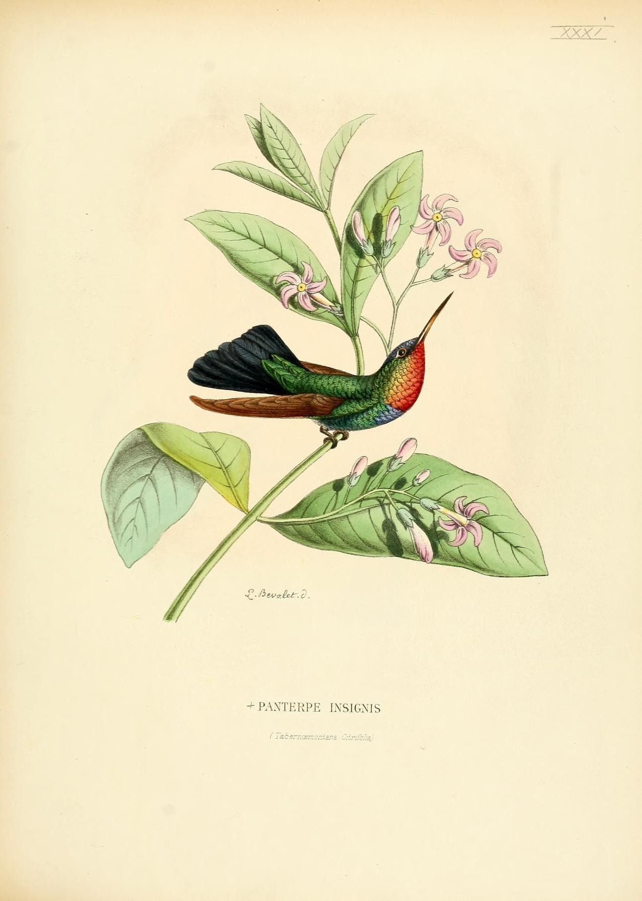 a bird perched on top of leaves and flowers