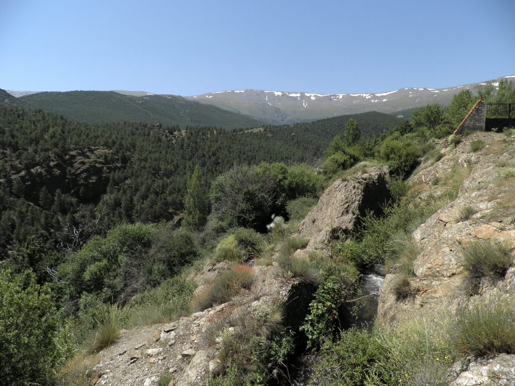 a mountain with lots of rocky hills and vegetation