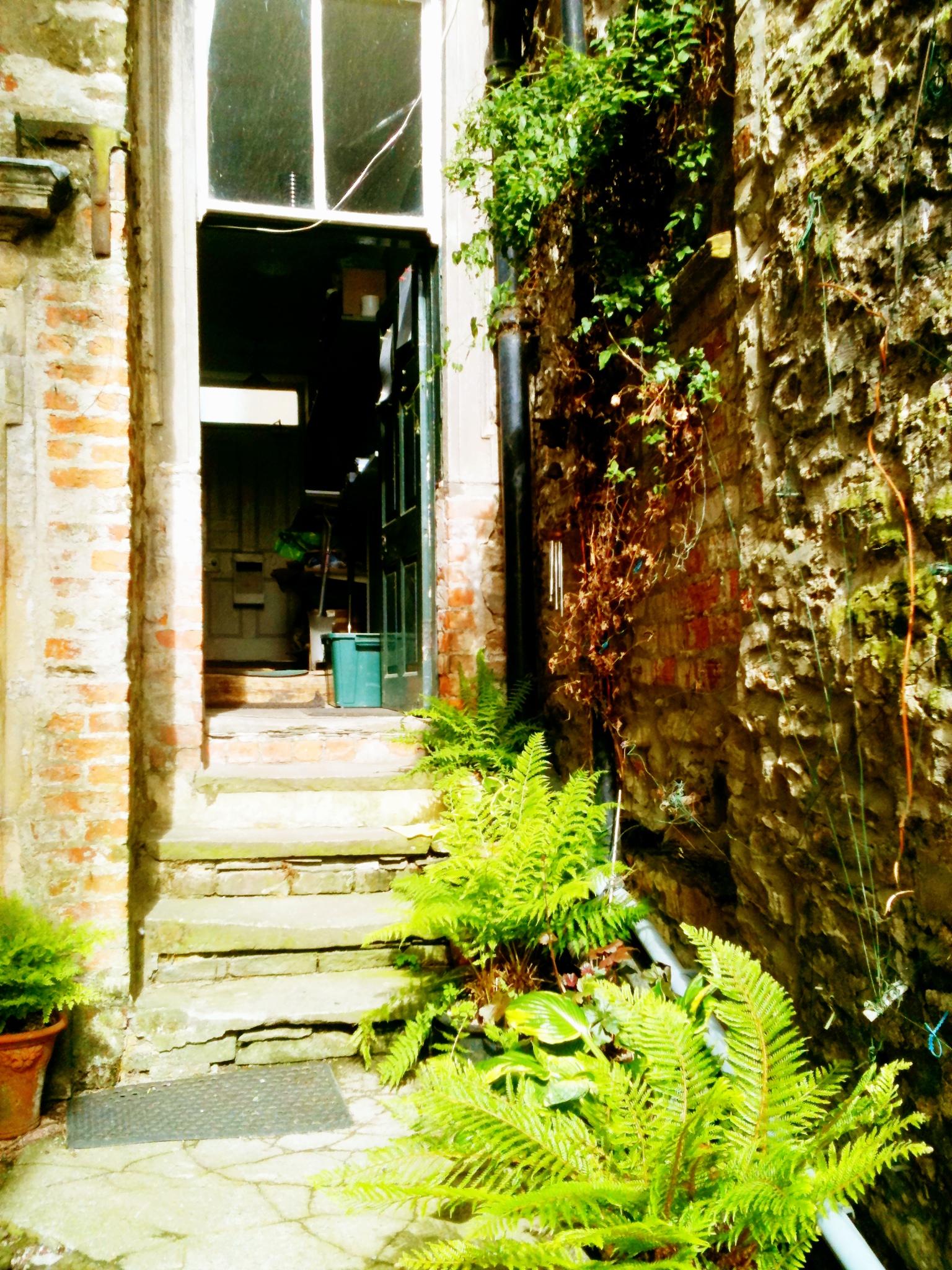 a doorway to a home with a porch and plants next to it