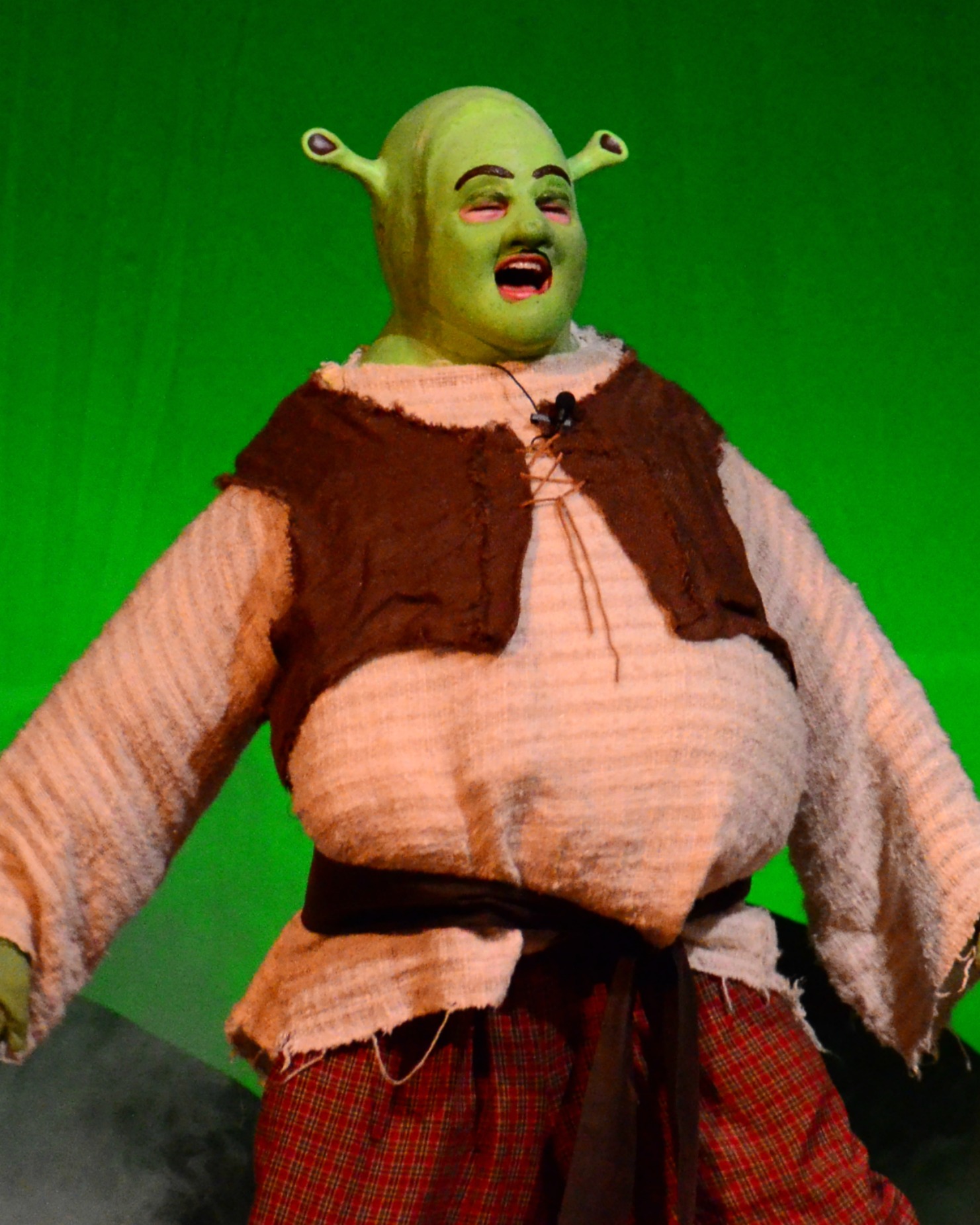 a man in an odd outfit with big green hair and bulging eyes