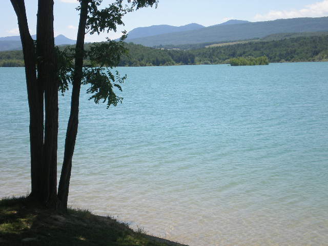 trees in front of water with mountains in background
