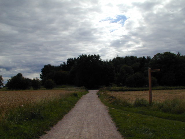 a stone path leading into the distance in a field