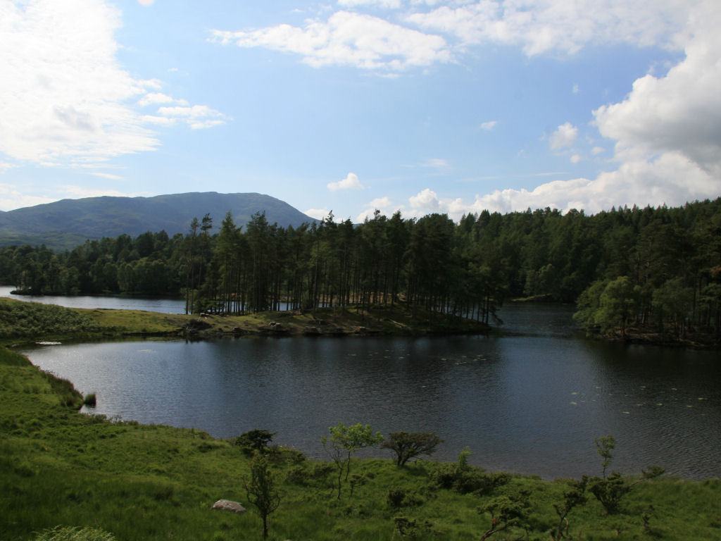 some very nice looking lake on a sunny day