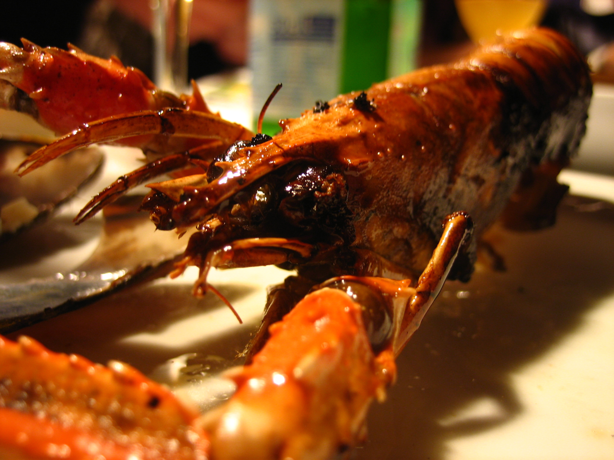 a cooked lobster in a plate on the table