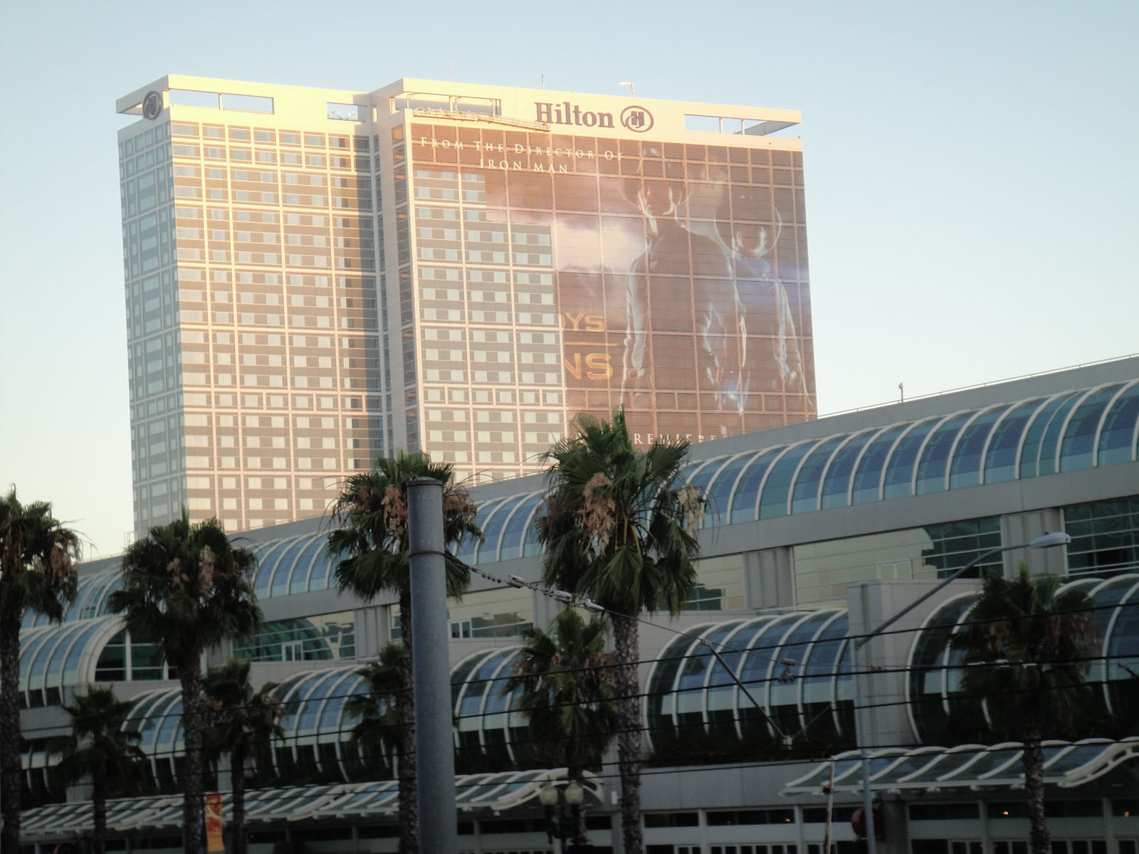 palm trees and palm trees in front of tall buildings