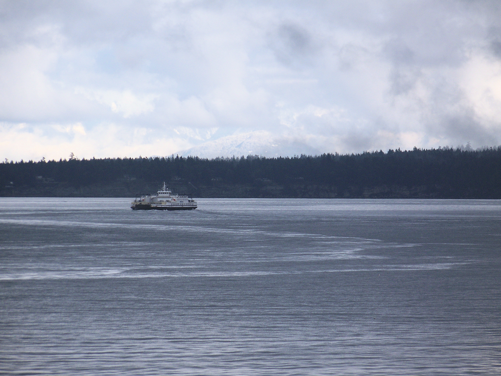 small ferry coming to shore with lots of boats