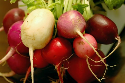 there are several types of radishes that are on display