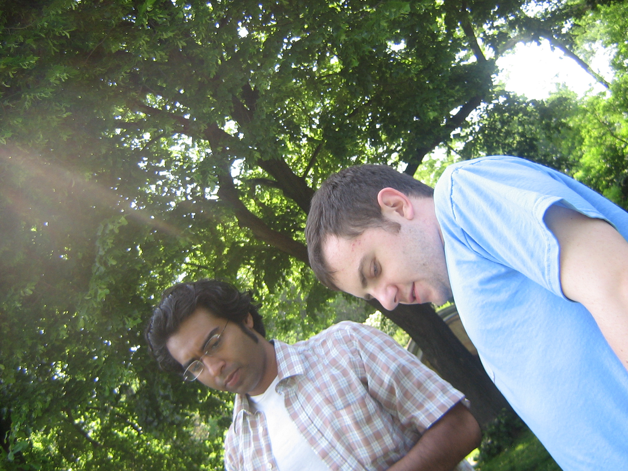 two men in front of a tree in the sunlight