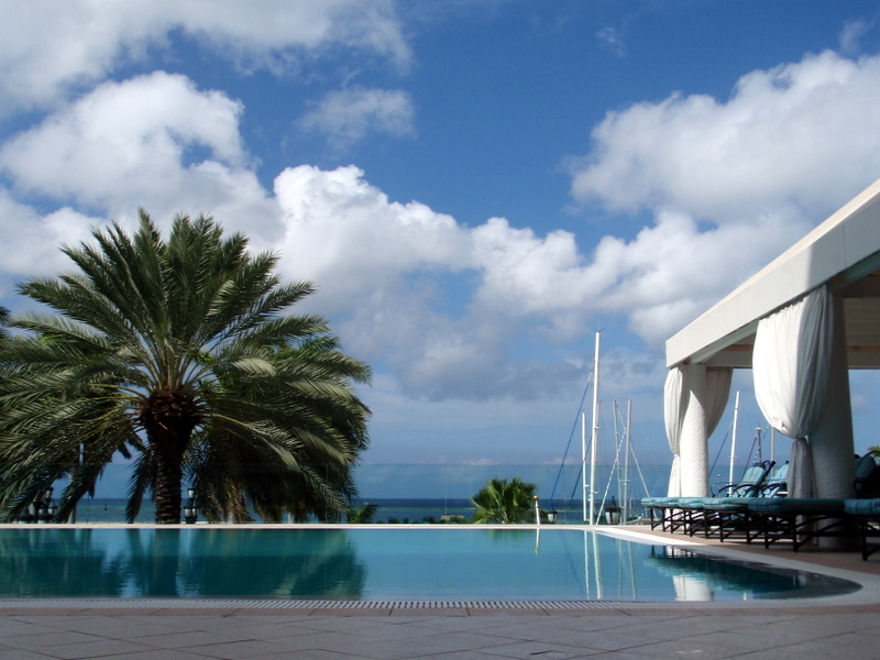 a palm tree by a swimming pool and some clouds in the sky