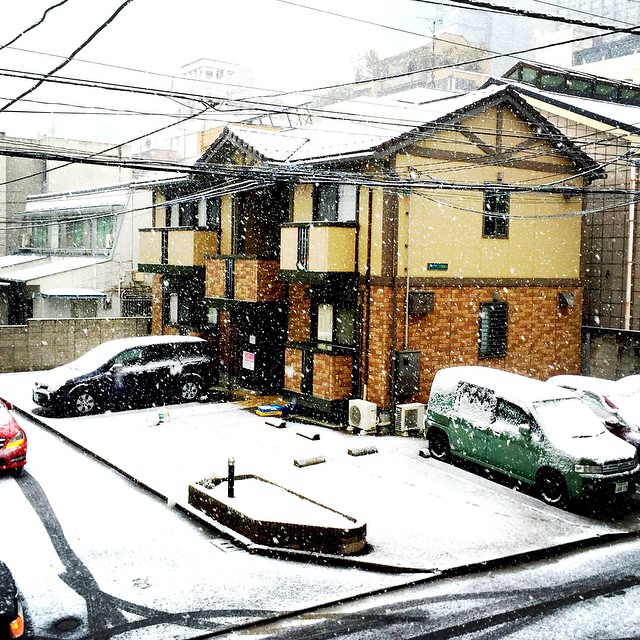 a street scene with cars covered in snow